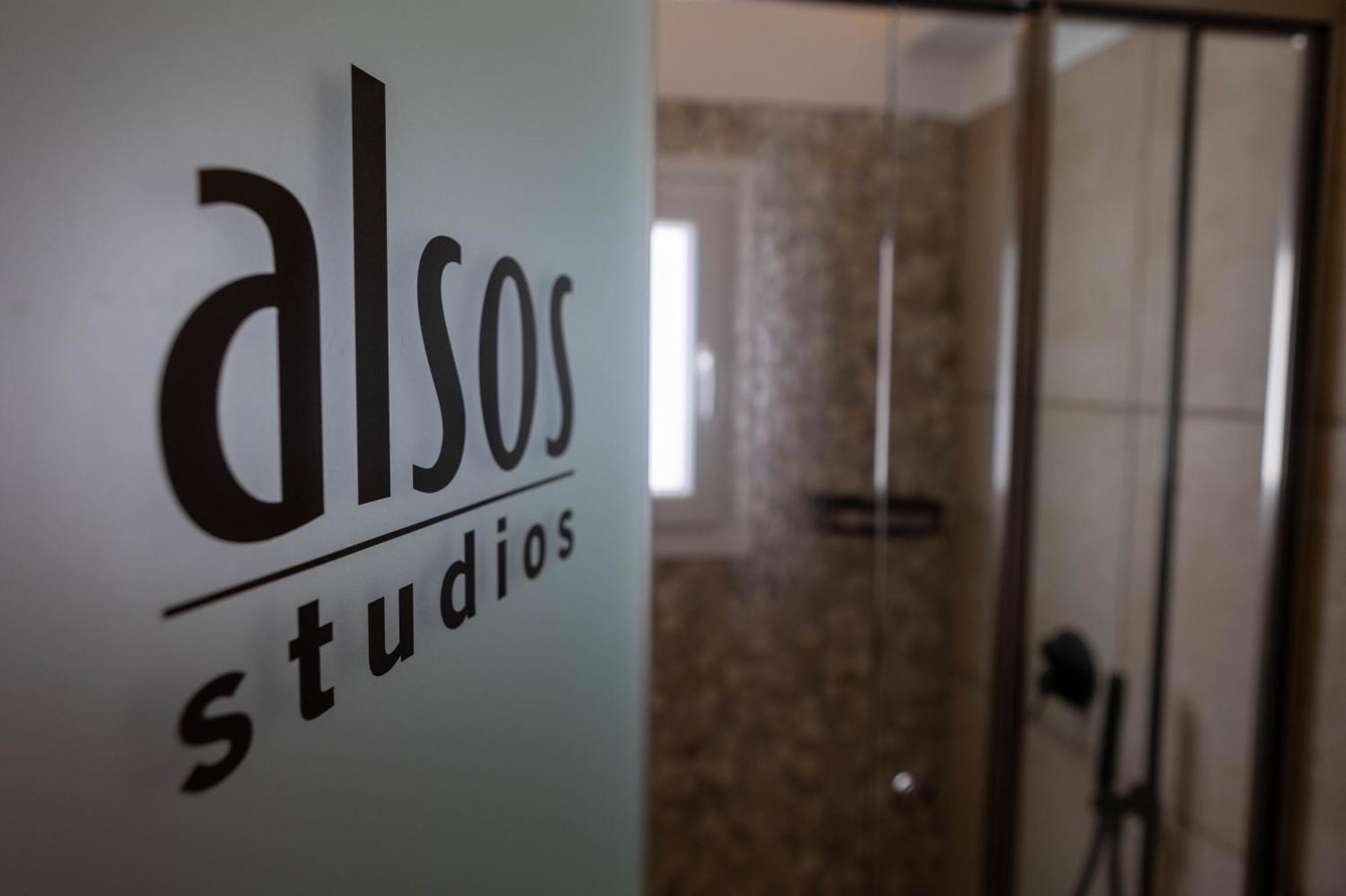 Studios Alsos Naxos City 객실 사진